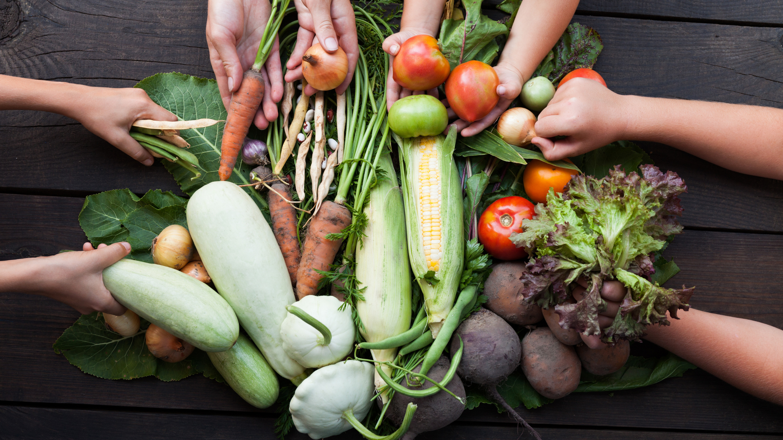 Featured image for “Akzeptanzprobleme bei vegetarischer Verpflegung – Mythos oder Realität?”